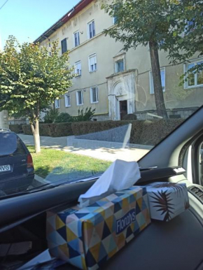 Apartament Alexandru